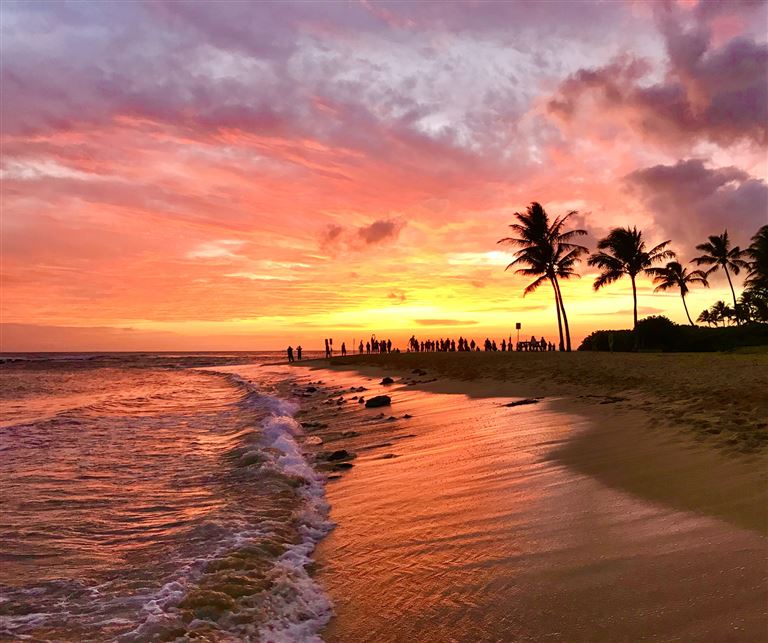 Western Express & Hawaii Oahu ©YinYang/istock